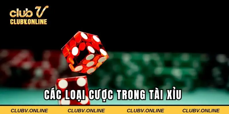 Các loại cược trong tài xỉu tại nền tảng CLUBV