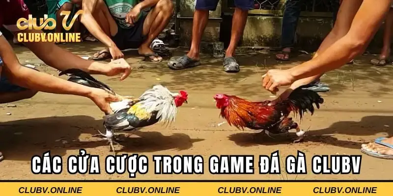 Các cửa cược có trong game tại Clubv