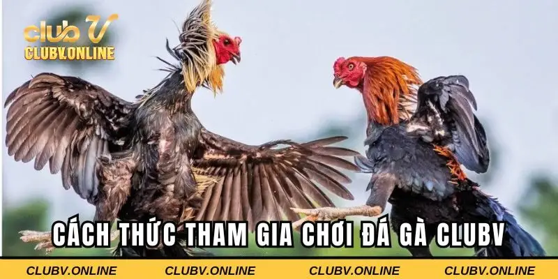 Từng bước tham gia cược game cho tân thủ đơn giản